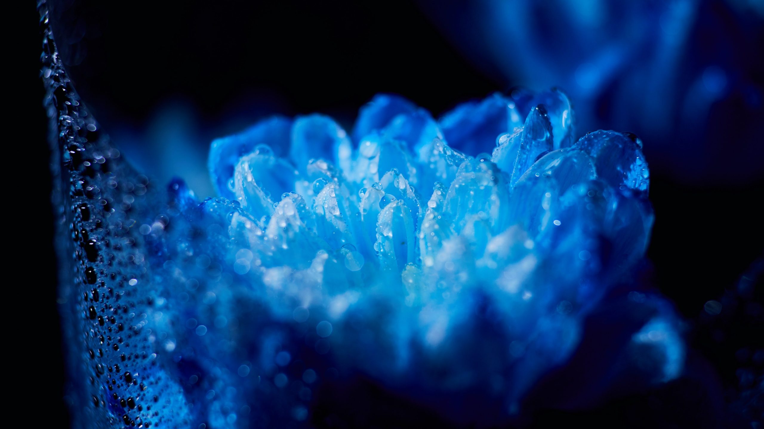 sapphire crystal healing